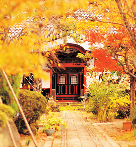 紅葉に染まる乗慶寺