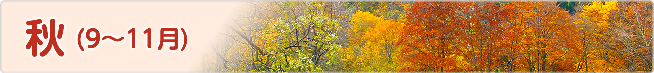 庄内町 秋のイベント(9月~11月)