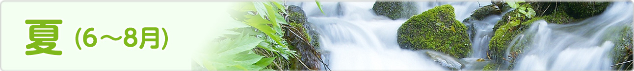 庄内町 夏のイベント(6月~8月)