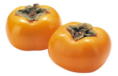 庄内町のおみやげ　庄内柿