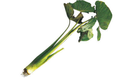 庄内町のおみやげ　からとり芋