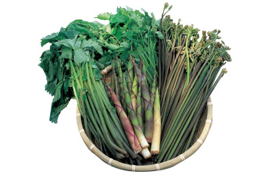 庄内町のおみやげ　山菜