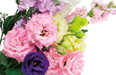 庄内町のおみやげ　庄内町ブランドの花